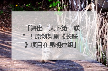 舞出“天下第一联”！原创舞剧《长联》项目在昆明建组