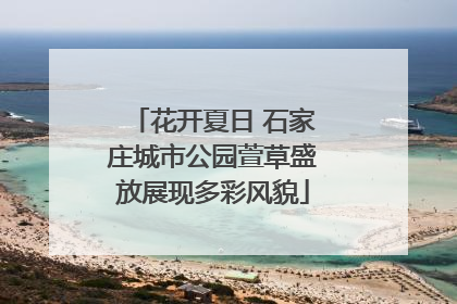 花开夏日 石家庄城市公园萱草盛放展现多彩风貌