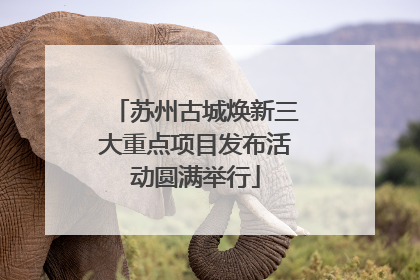 苏州古城焕新三大重点项目发布活动圆满举行
