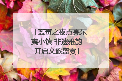 蓝莓之夜点亮东夷小镇 非遗雅韵开启文旅盛宴