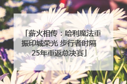 薪火相传：哈利魔法重振印城荣光 步行者时隔25年重返总决赛