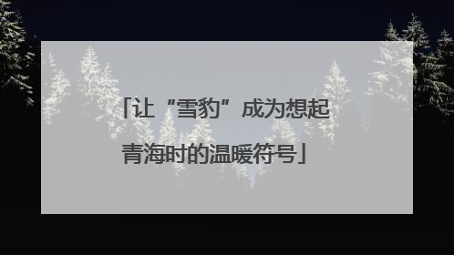 让“雪豹”成为想起青海时的温暖符号