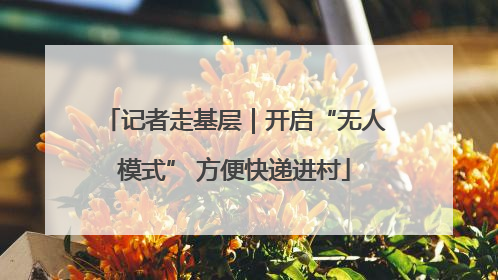 记者走基层｜开启“无人模式” 方便快递进村