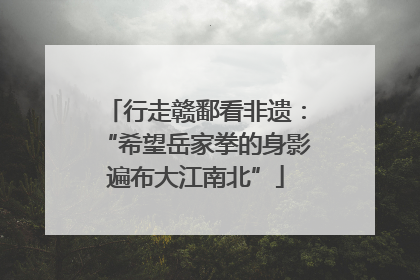 行走赣鄱看非遗：“希望岳家拳的身影遍布大江南北”