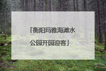 衡阳玛雅海滩水公园开园迎客