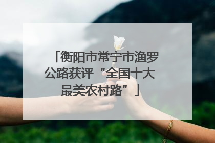 衡阳市常宁市渔罗公路获评“全国十大最美农村路”
