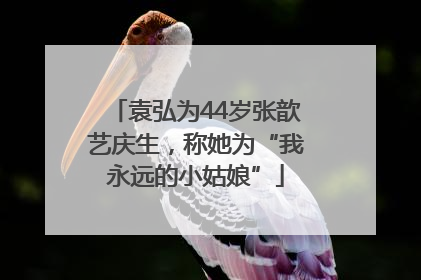 袁弘为44岁张歆艺庆生，称她为“我永远的小姑娘”