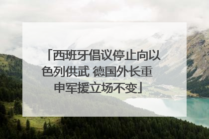 西班牙倡议停止向以色列供武 德国外长重申军援立场不变