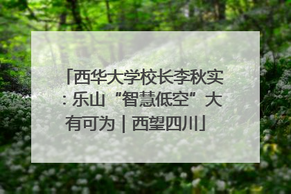 西华大学校长李秋实：乐山“智慧低空”大有可为｜西望四川