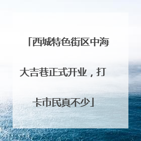 西城特色街区中海大吉巷正式开业，打卡市民真不少