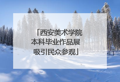 西安美术学院本科毕业作品展吸引民众参观