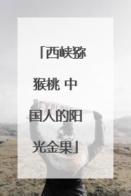 西峡猕猴桃 中国人的阳光金果