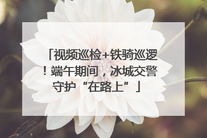 视频巡检+铁骑巡逻！端午期间，冰城交警守护“在路上”