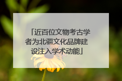 近百位文物考古学者为北疆文化品牌建设注入学术动能