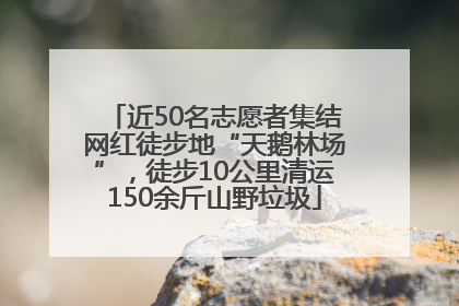 近50名志愿者集结网红徒步地“天鹅林场”，徒步10公里清运150余斤山野垃圾