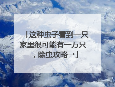 这种虫子看到一只家里很可能有一万只，除虫攻略→