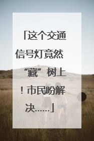 这个交通信号灯竟然“藏”树上！市民盼解决……