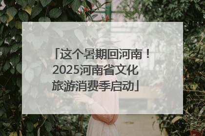 这个暑期回河南！2025河南省文化旅游消费季启动