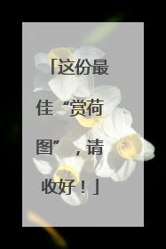这份最佳“赏荷图”，请收好！