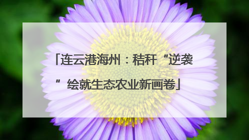 连云港海州：秸秆“逆袭”绘就生态农业新画卷