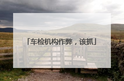 车检机构作弊，该抓