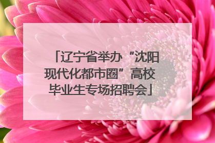 辽宁省举办“沈阳现代化都市圈”高校毕业生专场招聘会
