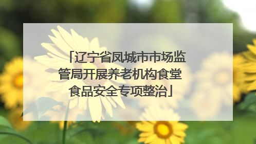 辽宁省凤城市市场监管局开展养老机构食堂食品安全专项整治