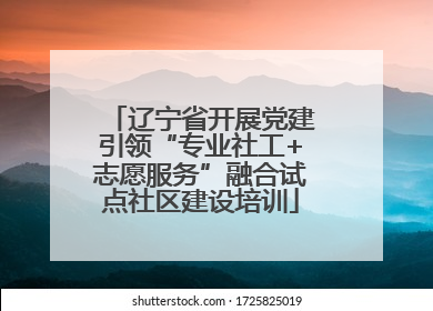辽宁省开展党建引领“专业社工+志愿服务”融合试点社区建设培训