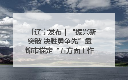 辽宁发布｜“振兴新突破 决胜勇争先”盘锦市锚定“五方面工作”力争全年地区生产总值增长5.5%左右