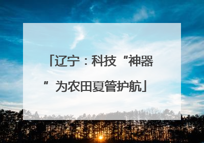 辽宁：科技“神器”为农田夏管护航