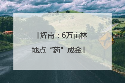 辉南：6万亩林地点“药”成金