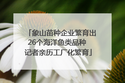 象山苗种企业繁育出26个海洋鱼类品种 记者亲历工厂化繁育