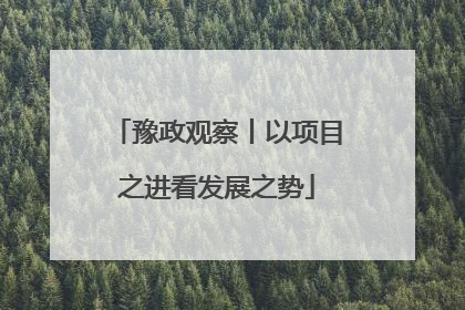 豫政观察丨以项目之进看发展之势