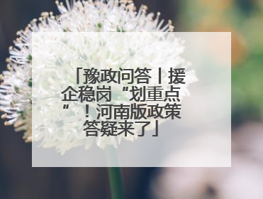 豫政问答丨援企稳岗“划重点”！河南版政策答疑来了
