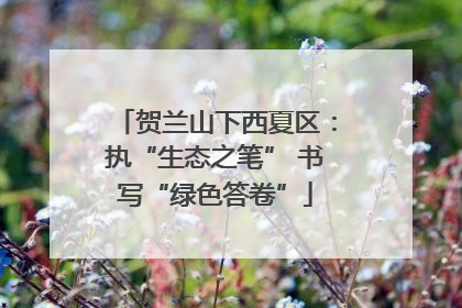 贺兰山下西夏区：执“生态之笔” 书写“绿色答卷”