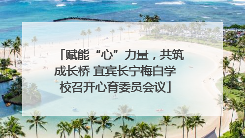 赋能“心”力量，共筑成长桥 宜宾长宁梅白学校召开心育委员会议