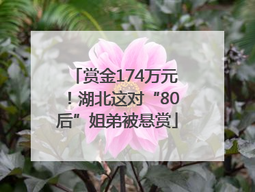赏金174万元！湖北这对“80后”姐弟被悬赏