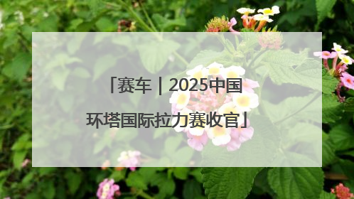 赛车｜2025中国环塔国际拉力赛收官