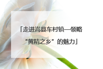 走进嵩县车村镇—领略“黄精之乡”的魅力