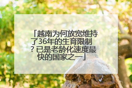 越南为何放宽维持了36年的生育限制？已是老龄化速度最快的国家之一