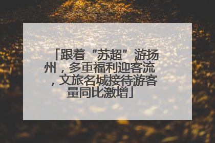 跟着“苏超”游扬州，多重福利迎客流，文旅名城接待游客量同比激增