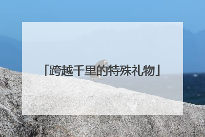 跨越千里的特殊礼物