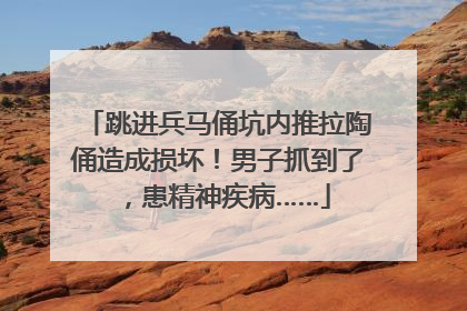跳进兵马俑坑内推拉陶俑造成损坏！男子抓到了，患精神疾病……