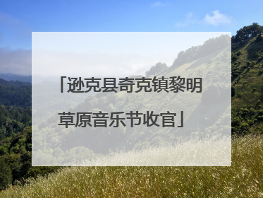 逊克县奇克镇黎明草原音乐节收官