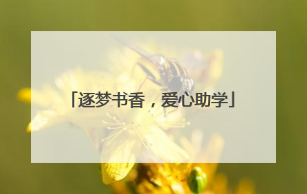 逐梦书香，爱心助学