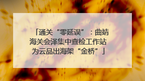 通关“零延误”：曲靖海关会泽集中查检工作站为云品出海架“金桥”