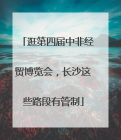 逛第四届中非经贸博览会，长沙这些路段有管制