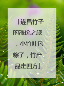 遂昌竹子的涨价之旅：小竹叶包粽子，竹产品走四方