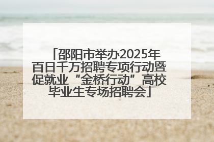 邵阳市举办2025年百日千万招聘专项行动暨促就业“金桥行动”高校毕业生专场招聘会