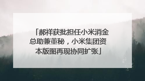 郝祥获批担任小米消金总助兼董秘,小米集团资本版图再现协同扩张